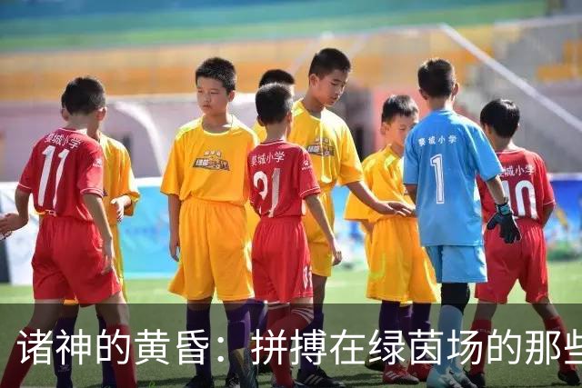 诸神的黄昏：拼搏在绿茵场的那些奇妙瞬间