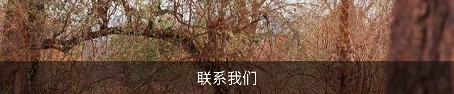 联系我们